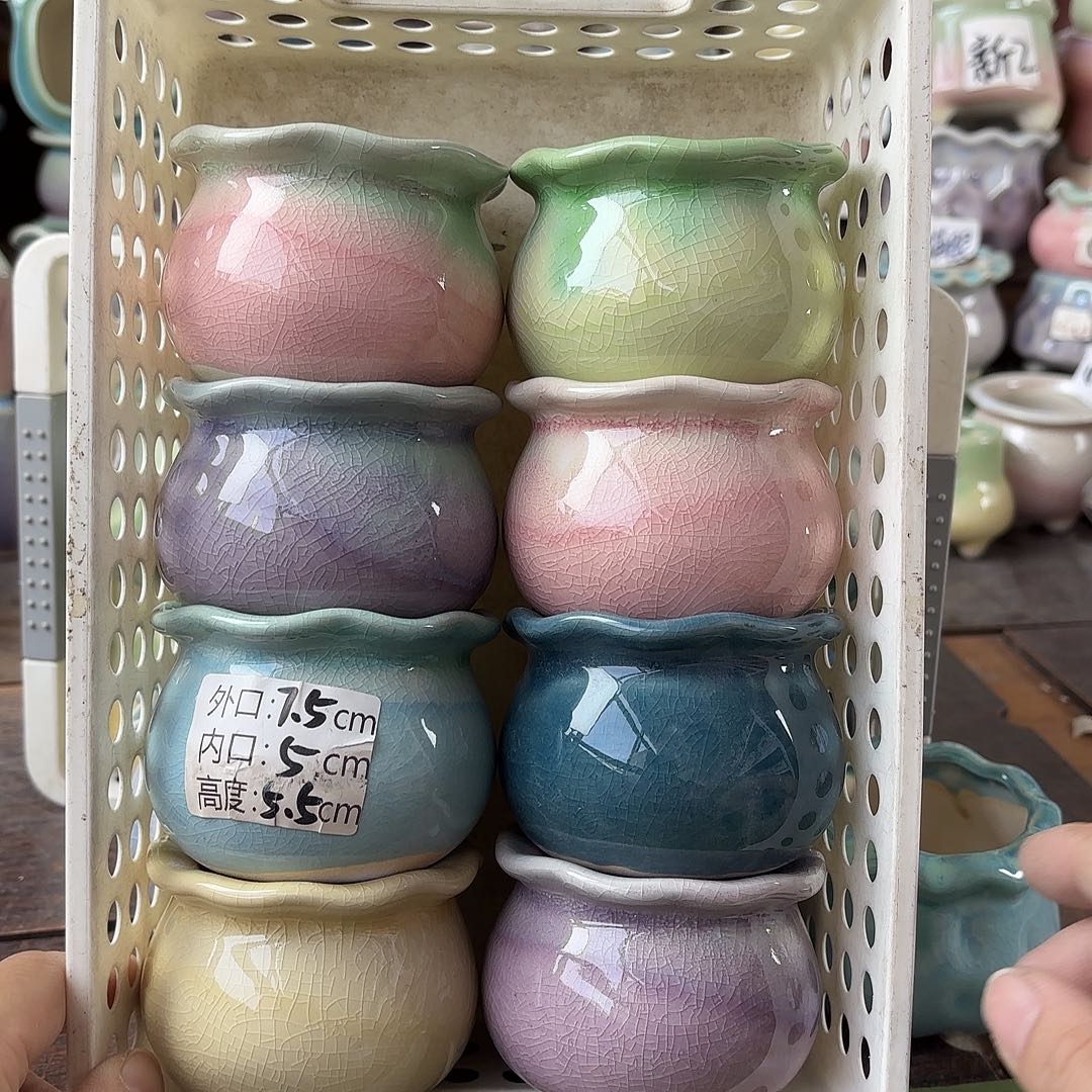 量货/口5深浅搭配发6