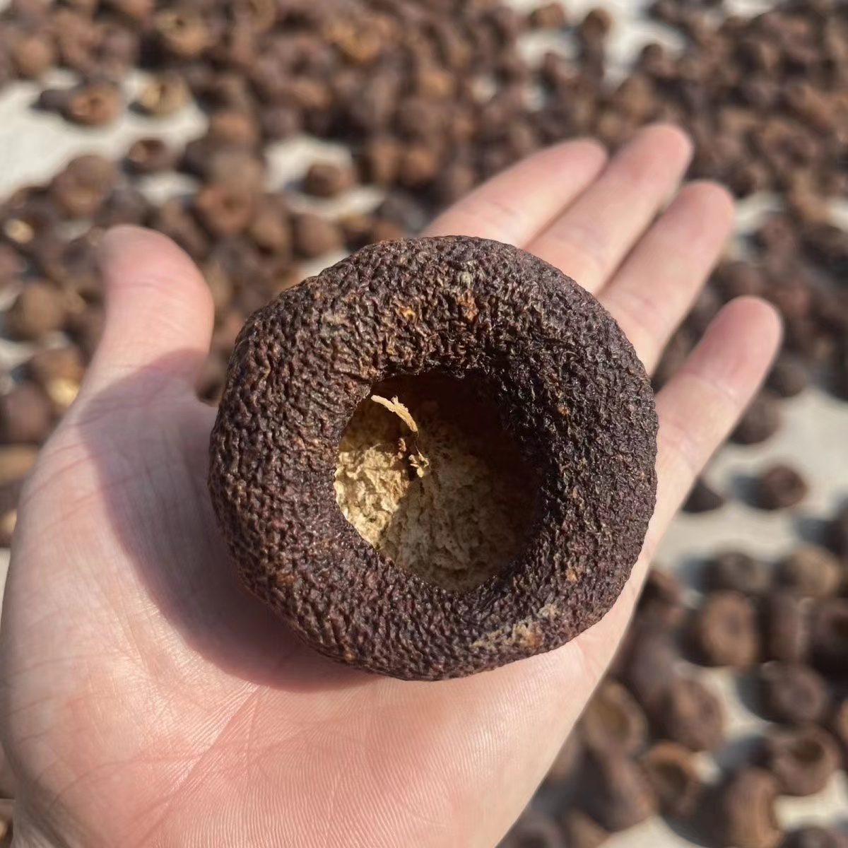 【阿强收皮】龙溪  龙须  霜落Y包 果壳 龙20陈  100g 拍一发三
