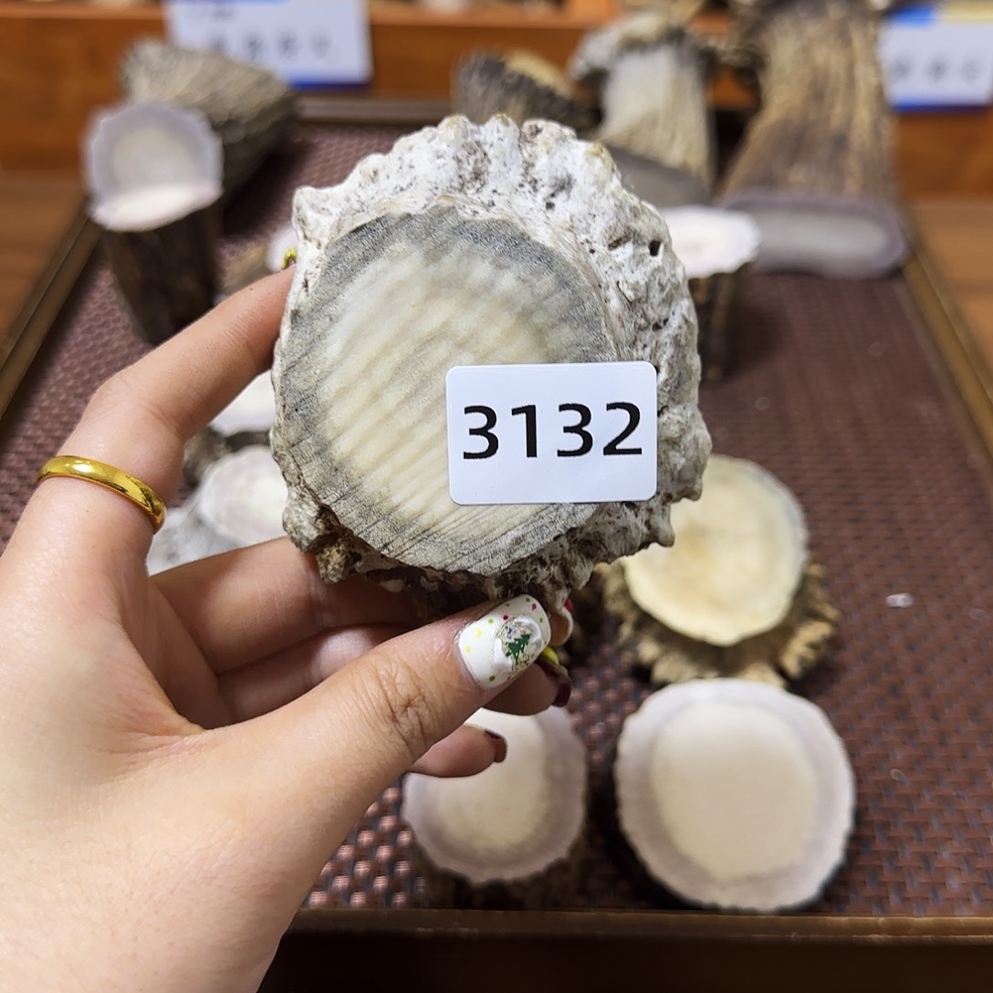 手串/手链鹿骨角帽3132