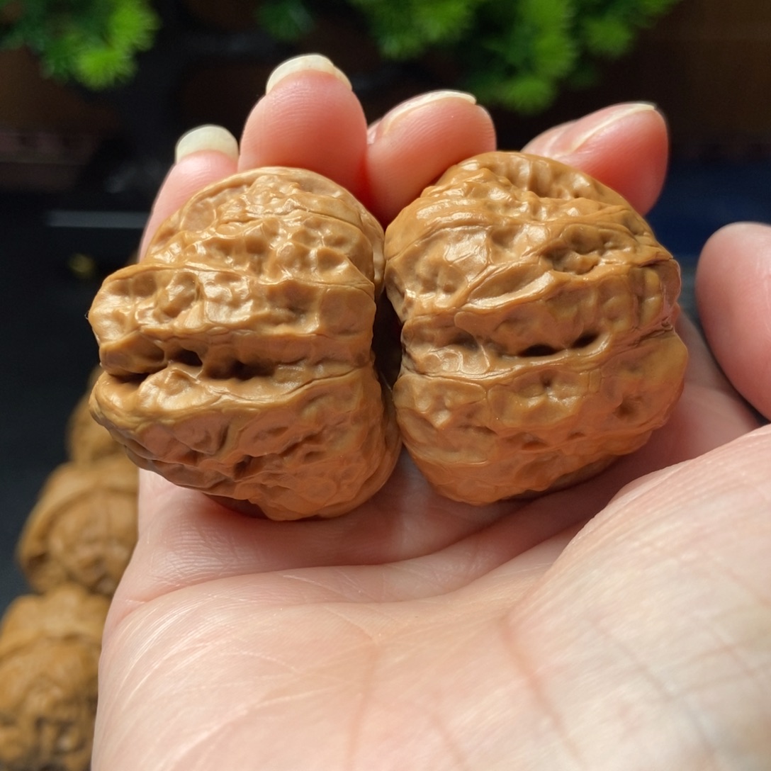 文玩核桃把件蛤蟆头37