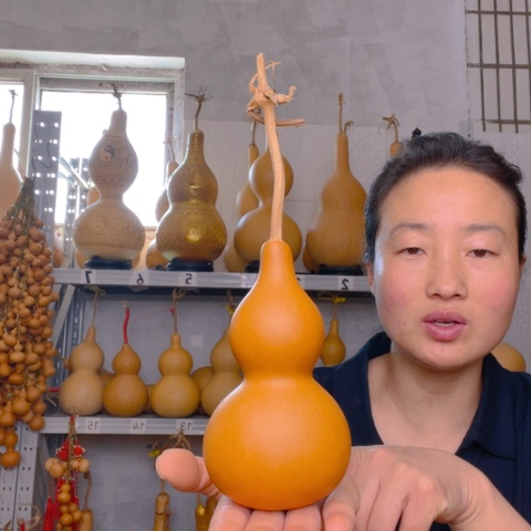 天然植物葫芦文玩