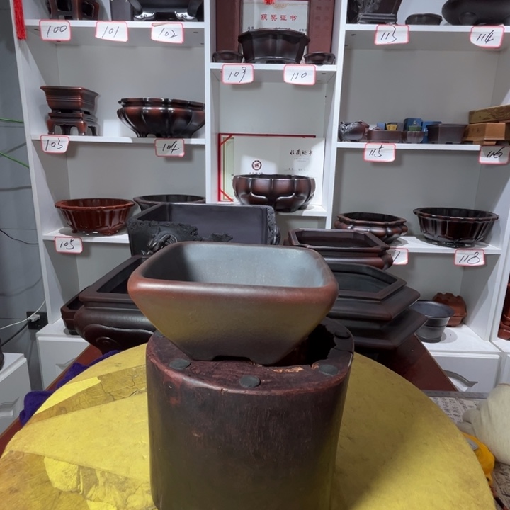 l***k花盆紫砂11111111