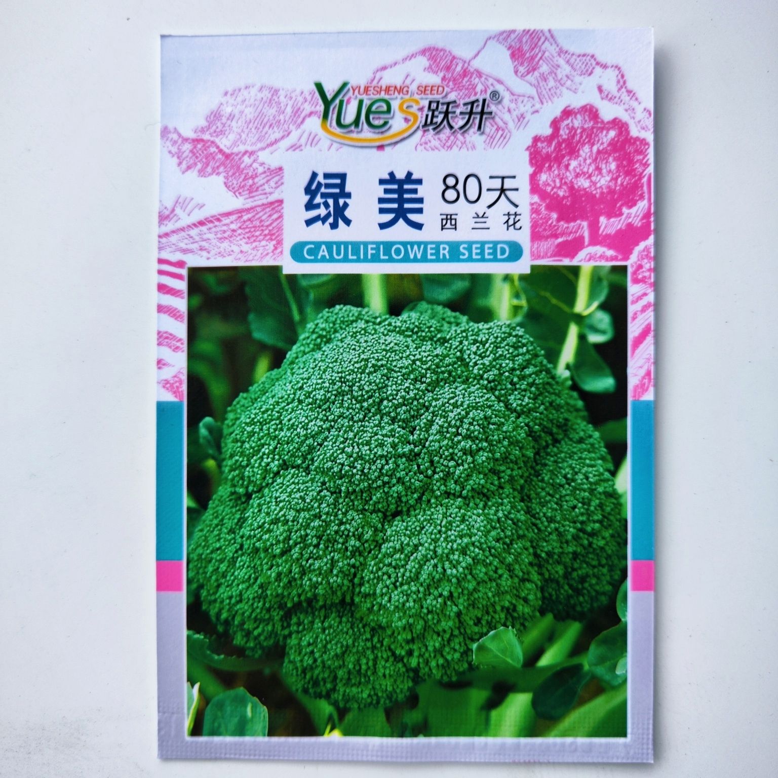 绿美西兰花种子青花菜花椰菜耐寒蔬菜种籽适合大棚盆栽四季播