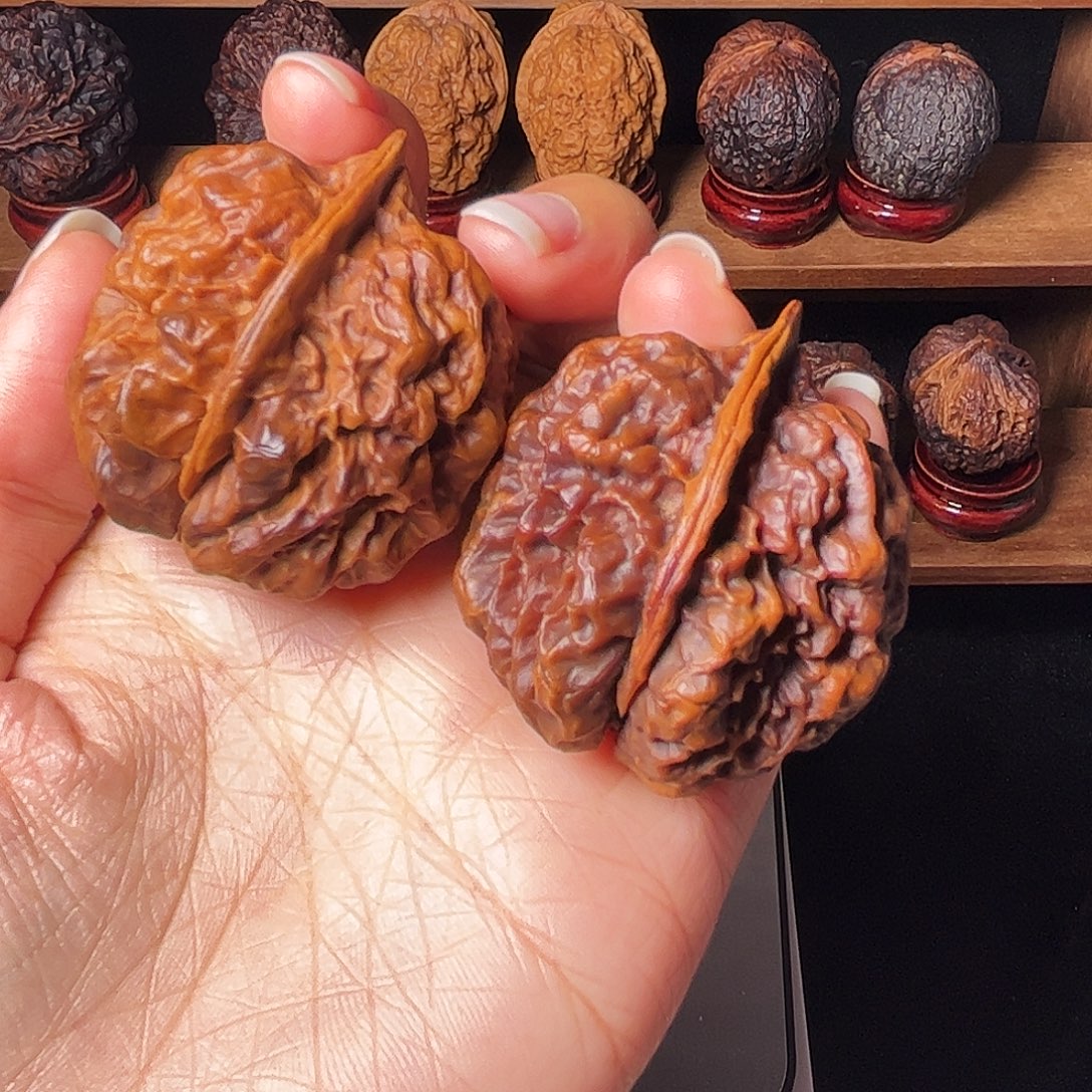 观***复上古蛤蟆头          44