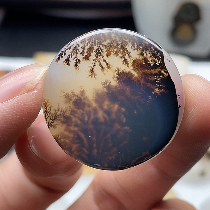 李***7玛瑙/玉髓未镶嵌颈饰