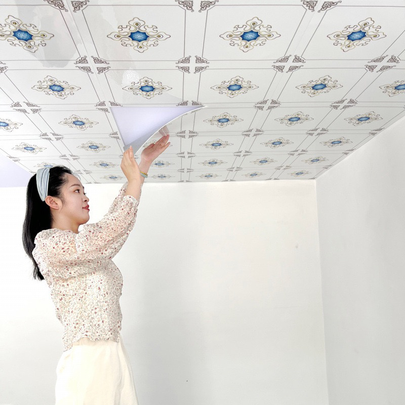 2025新款天花板贴纸自粘屋顶自装墙贴吊顶遮丑装饰墙纸防水防潮霉