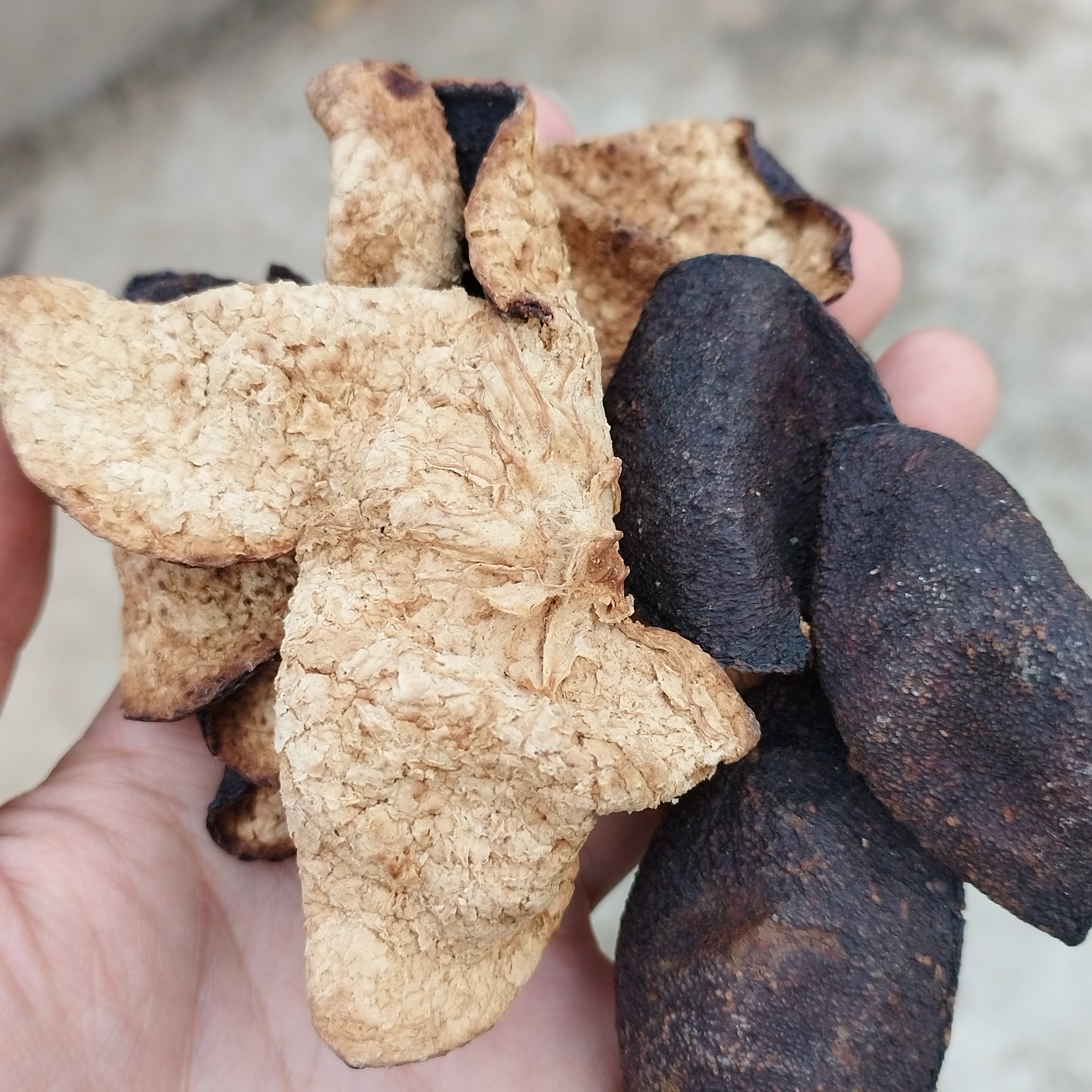 灵灵带你逛中缅大集【陈皮】云南土货