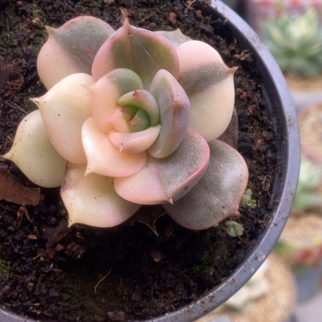 147贝加尔湖阴阳锦锦锦锦锦