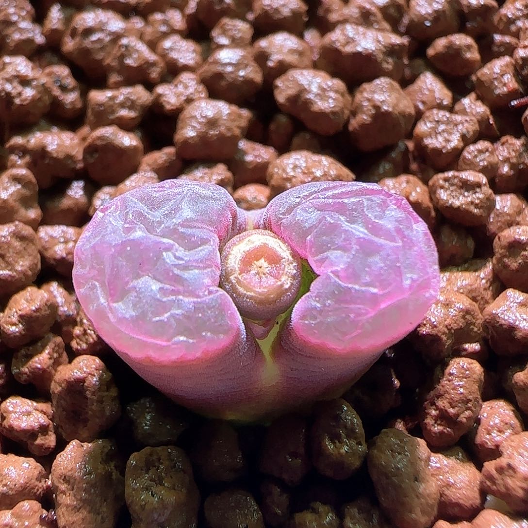 过***天哈哈哈哈哈哈哈427