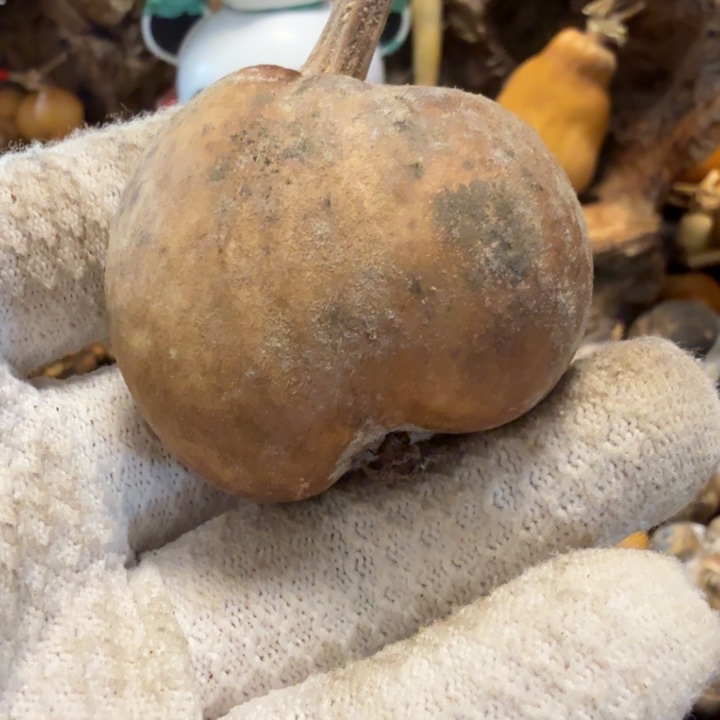 心***安66666666667¥7777¥@ii