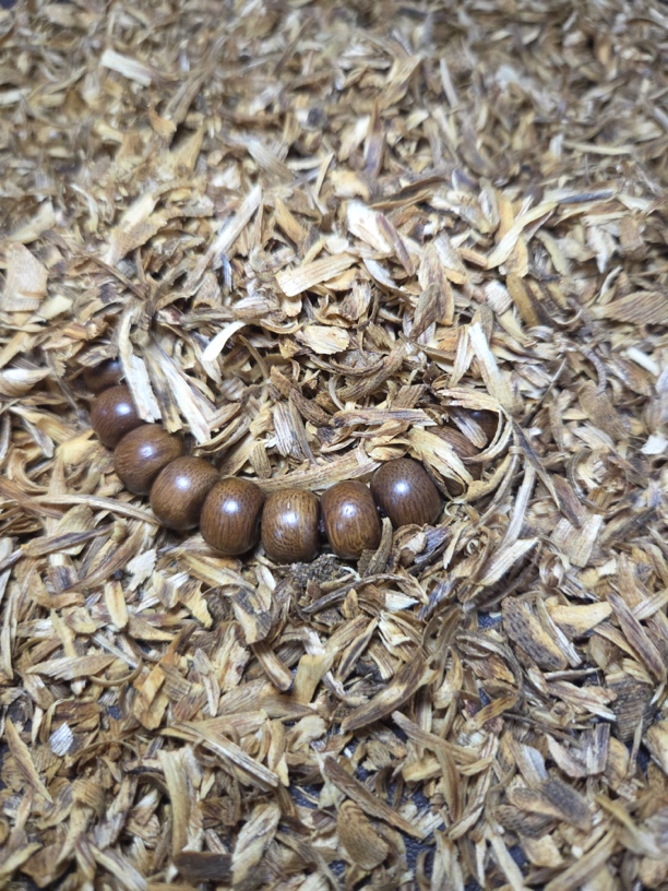 沉香TDIo海南老料PG黄棋+沉香碎屑