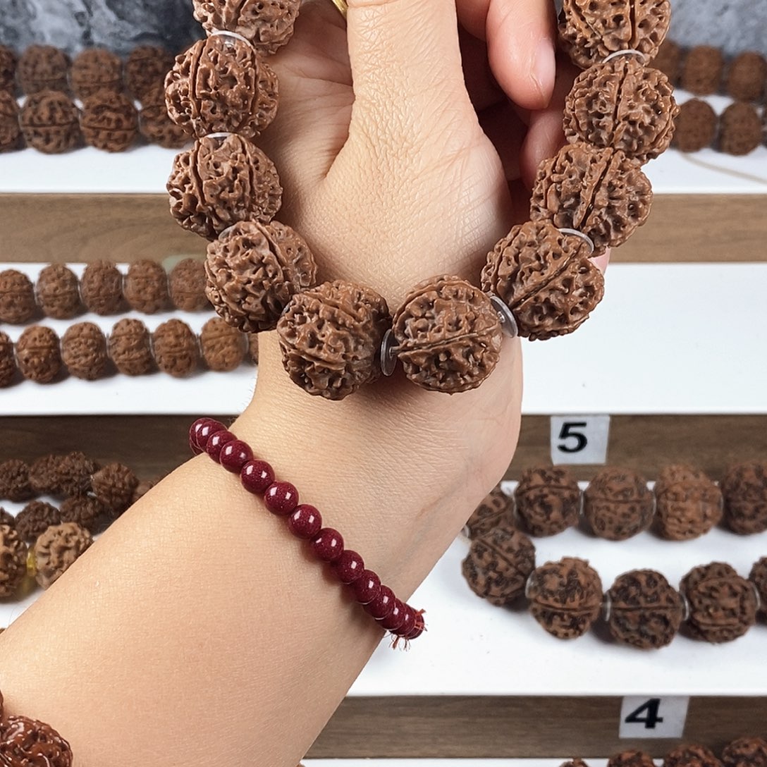 我***…金刚菩提手串原生态精品龙灯