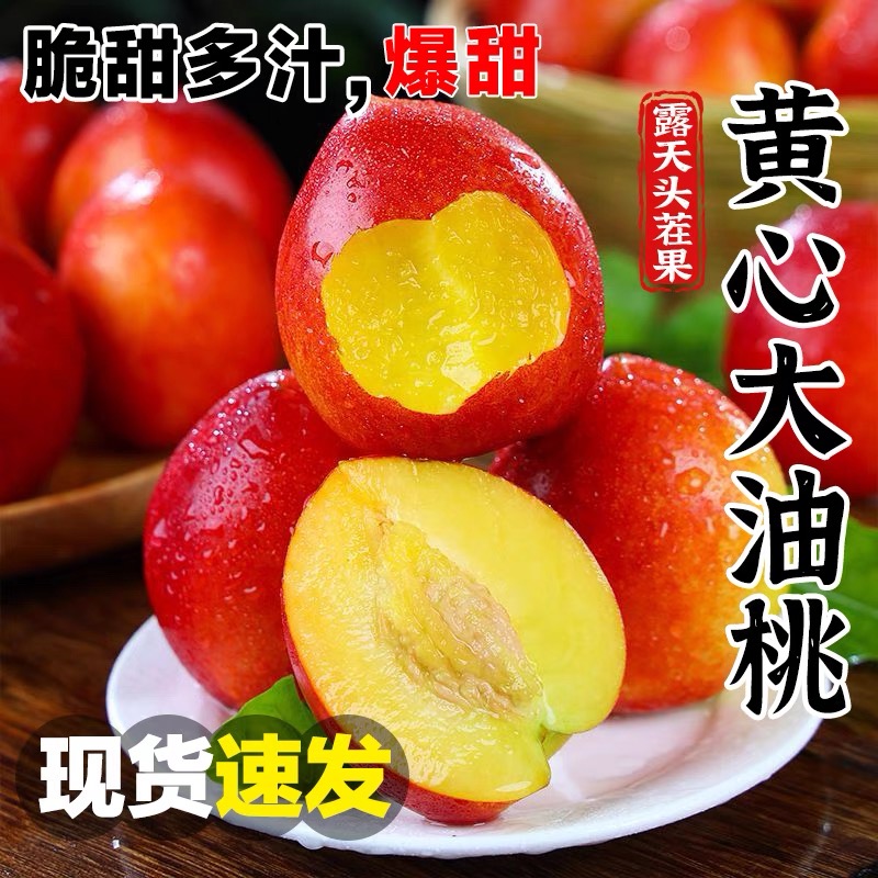【超甜多汁】黄心油桃新鲜大果脆甜多汁当季现摘露天桃子坏果包赔