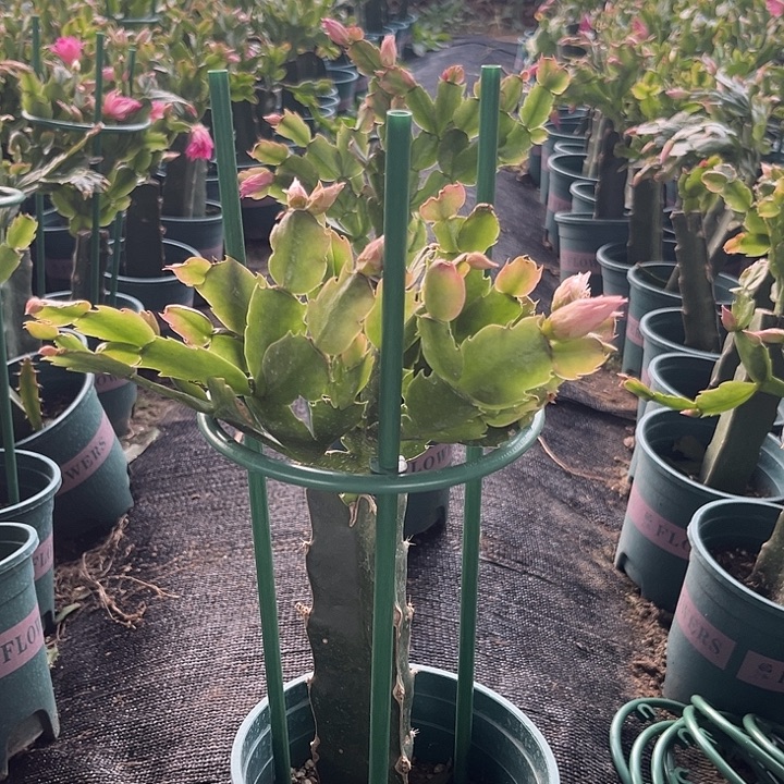 w***w70号038，1111111111