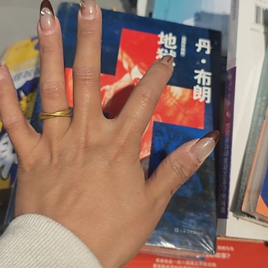 丹布朗精装塑封库存书全新