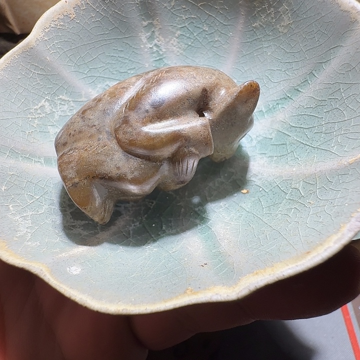 已***置好的我知道了我知道了你也