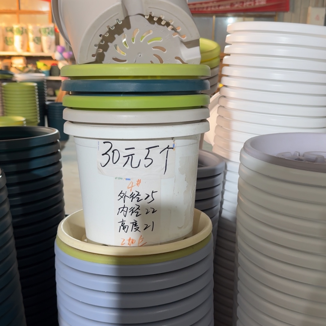四季四号无拖果绿8个