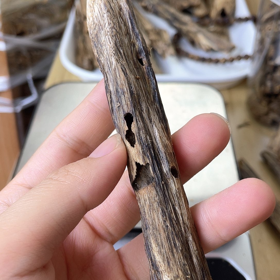 木绿奇楠原材料虫漏12.2克