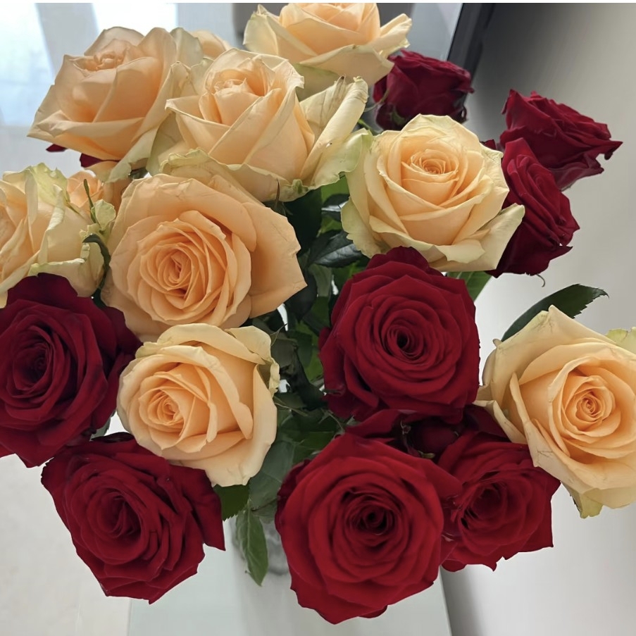 【西北玫瑰】娜欧米+蜜桃玫瑰20枝