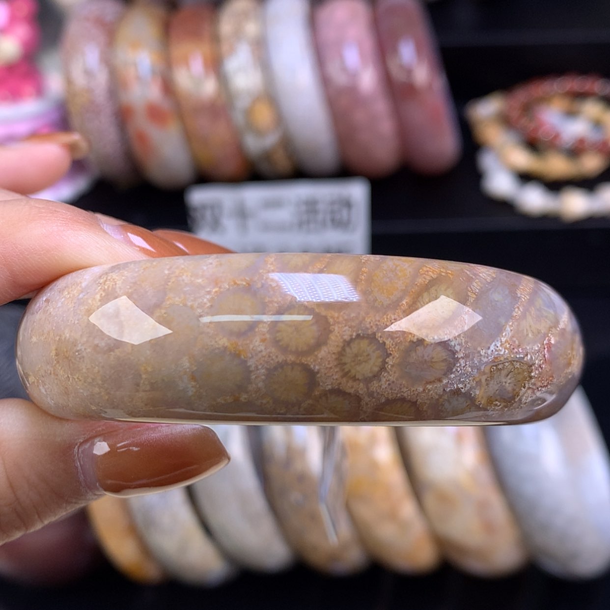 【闪购商品】颈饰未镶嵌硅化珊瑚（珊瑚玉）菊糖55.8（29号）