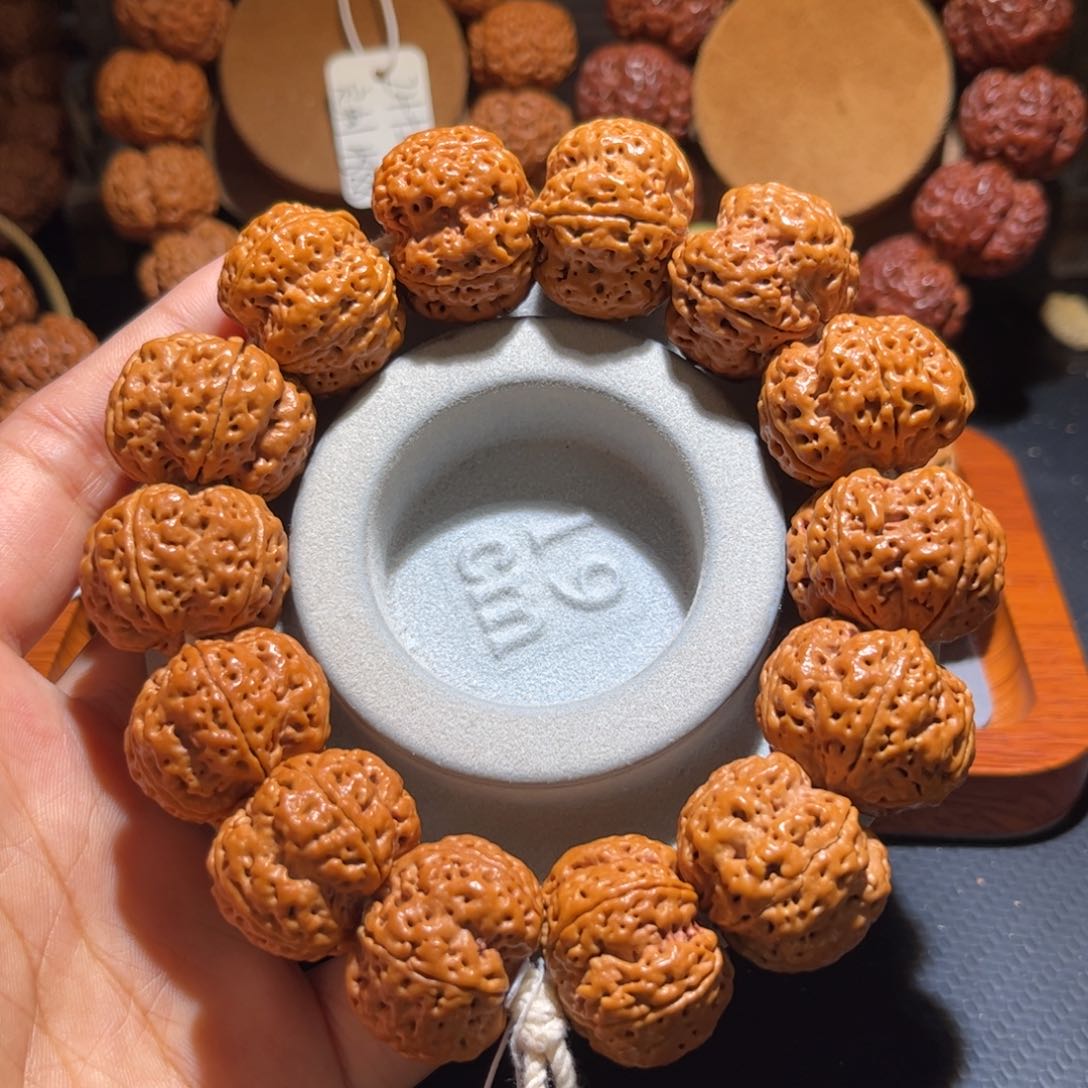 金刚菩提手串九龙梅花25