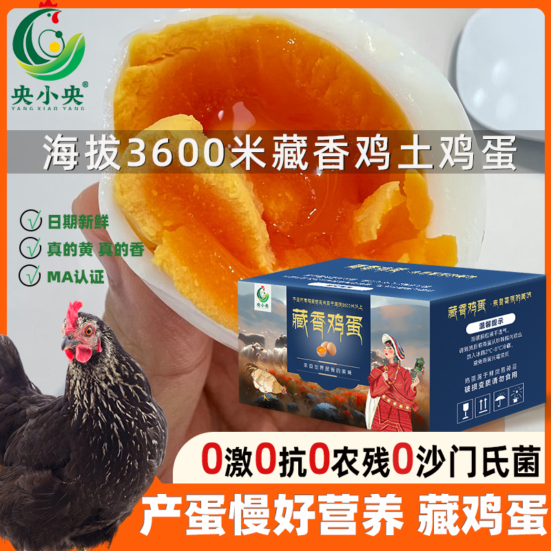 正宗农家散养始祖藏鸡蛋土鸡富硒鸡蛋无抗无菌50枚可生食新鲜D014