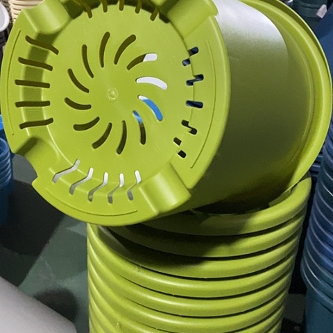 树脂四季8号果绿无托3个