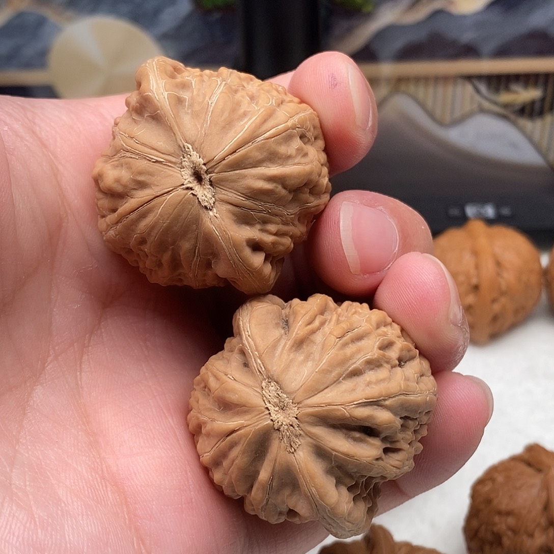 超***子39加尺寸铁锤妹妹无修