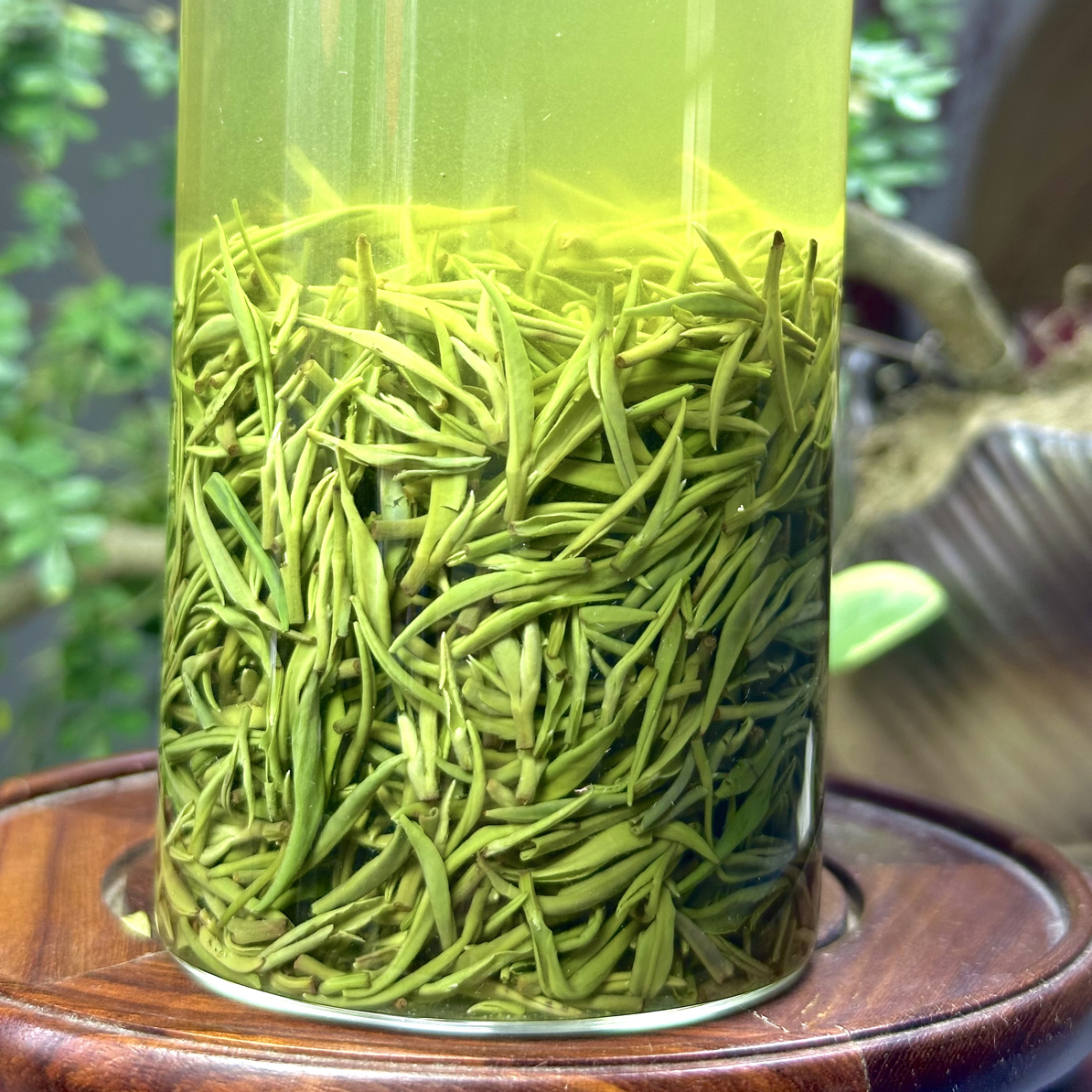 【2025新茶】豫山沟•郝家冲信阳毛尖（白露小芽）花香浓郁