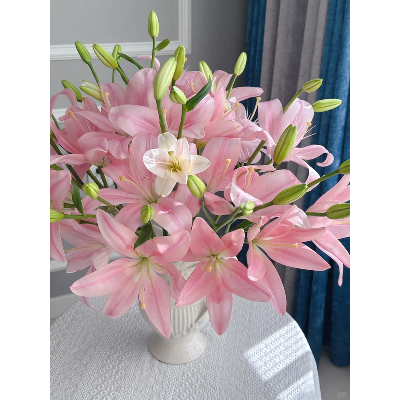 【粉芭比】亚百合 一单包邮 云南鲜花昆明基地现采现发