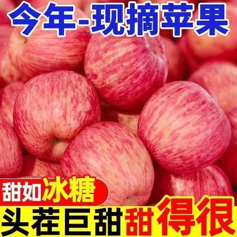 脆甜精选 陕西冰糖心红富士苹果脆甜多汁新鲜采摘整箱包邮
