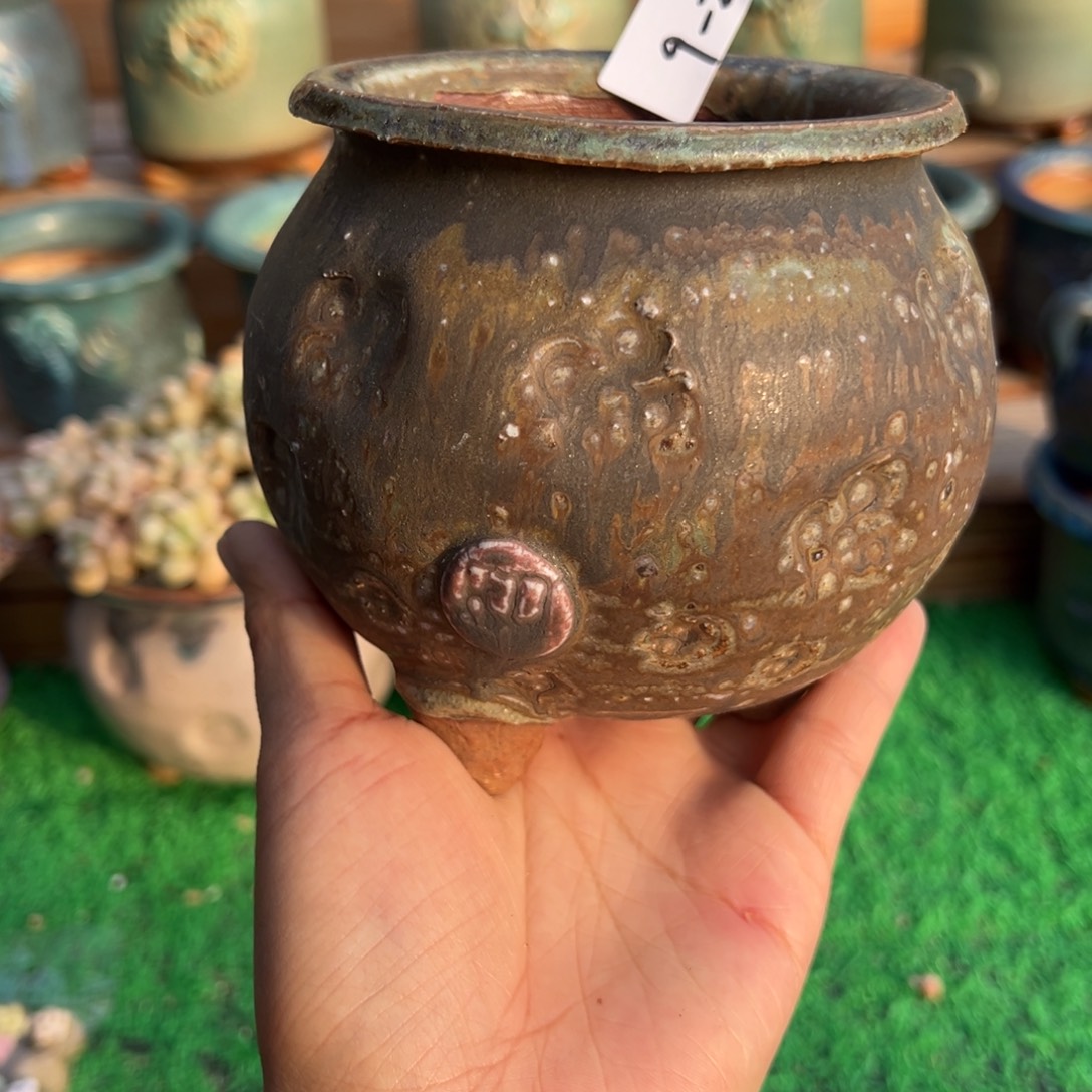 9-22花盆口9外高10