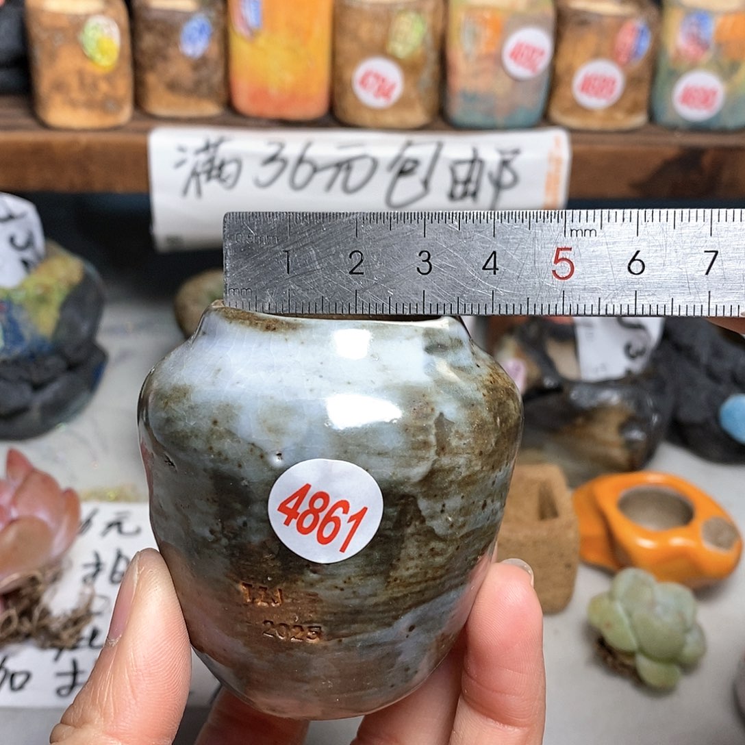 红陶拍5送一个小