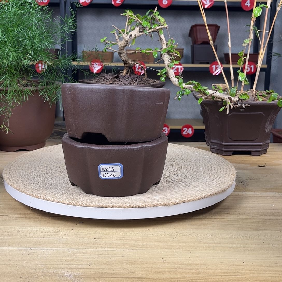 紫砂花盆紫砂花盆