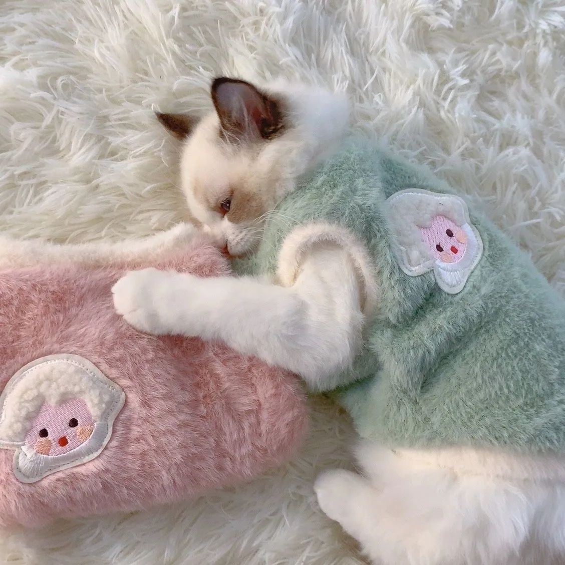 可爱秋冬季猫咪衣服狗狗冬保暖加厚背心防掉毛布偶宠物衣服小型sq
