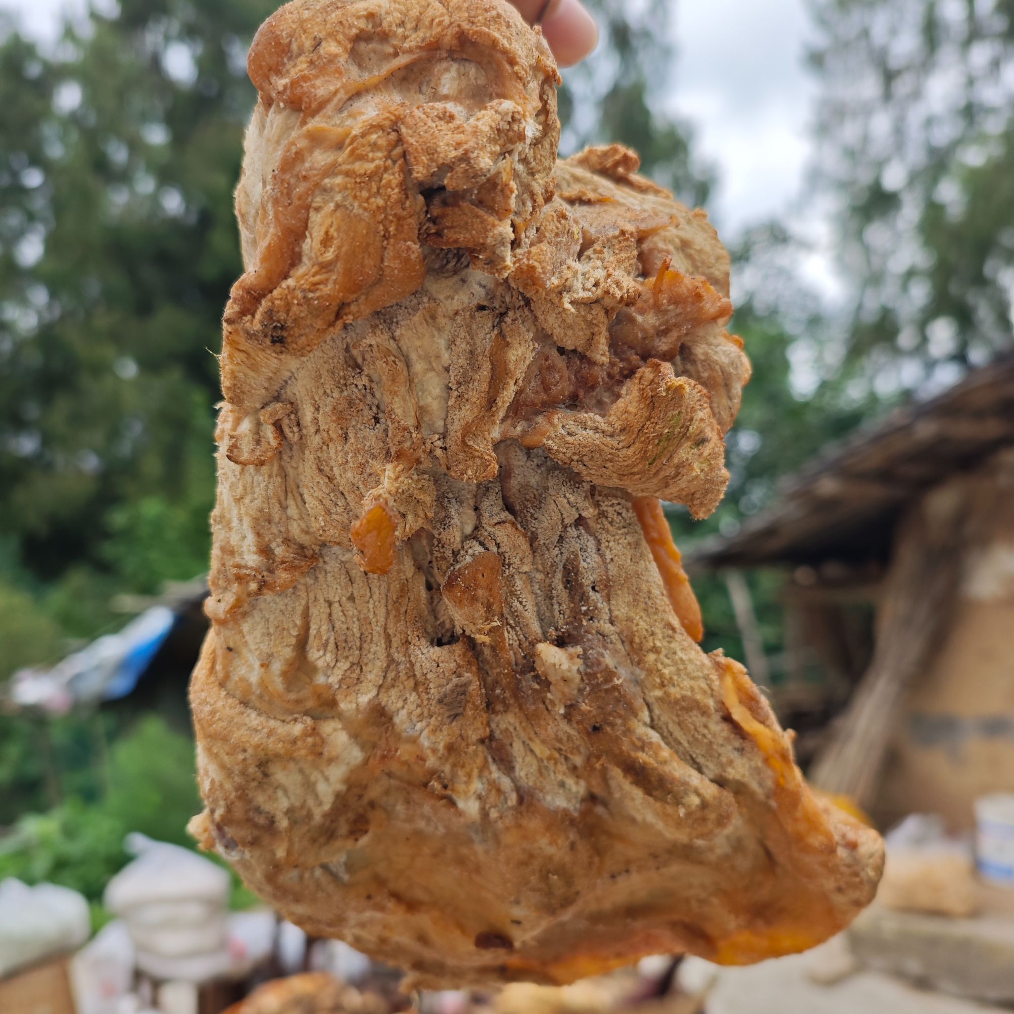 《逗哥逗妹》代卖农家熟食喂养土猪肉 腊扇子骨 盐铲铲直播现称重量