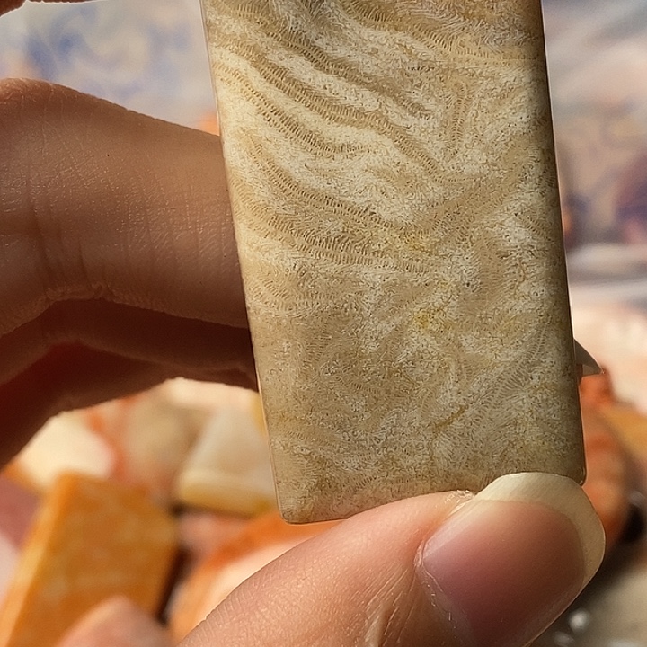 逆***薇硅化珊瑚未镶嵌颈饰