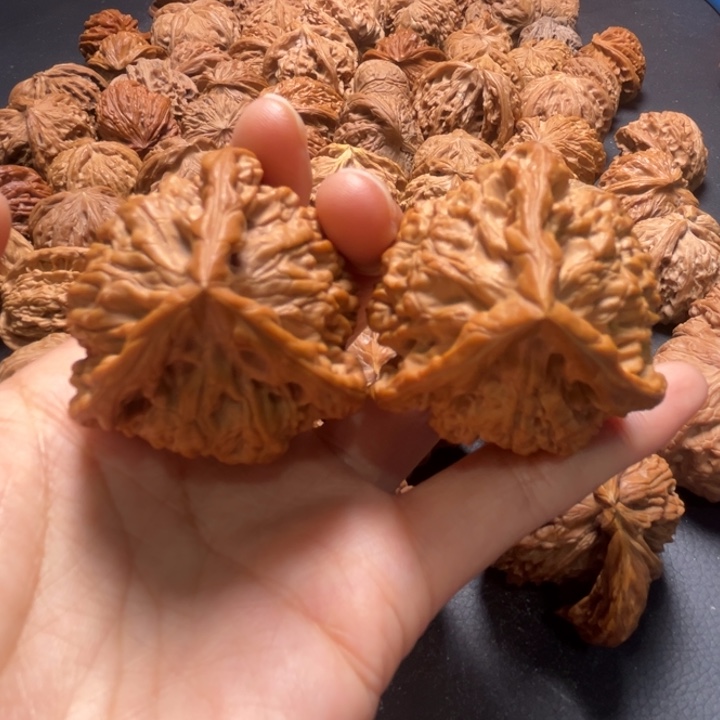 全品官帽三棱44尺寸核桃哈哈哈哈哈哈哈哈