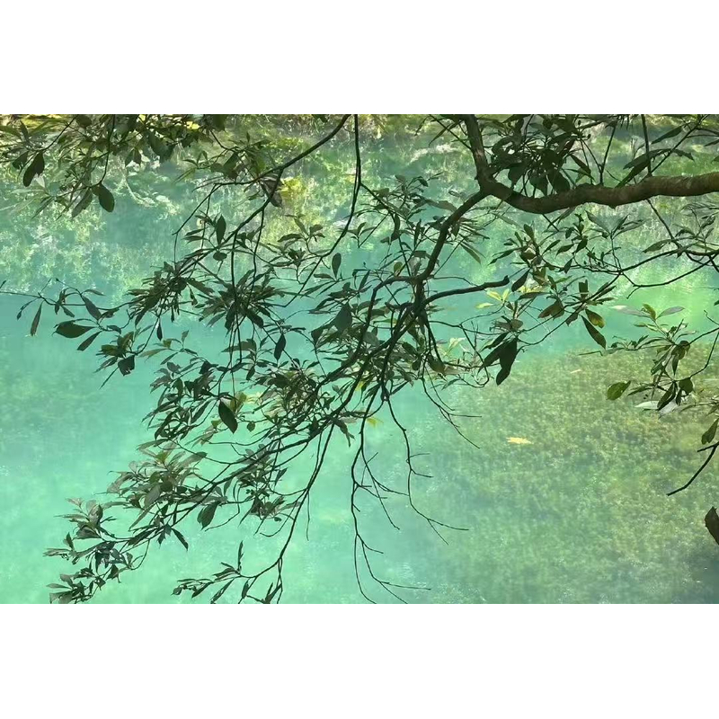 沉香沉香FF-01-110 红三108