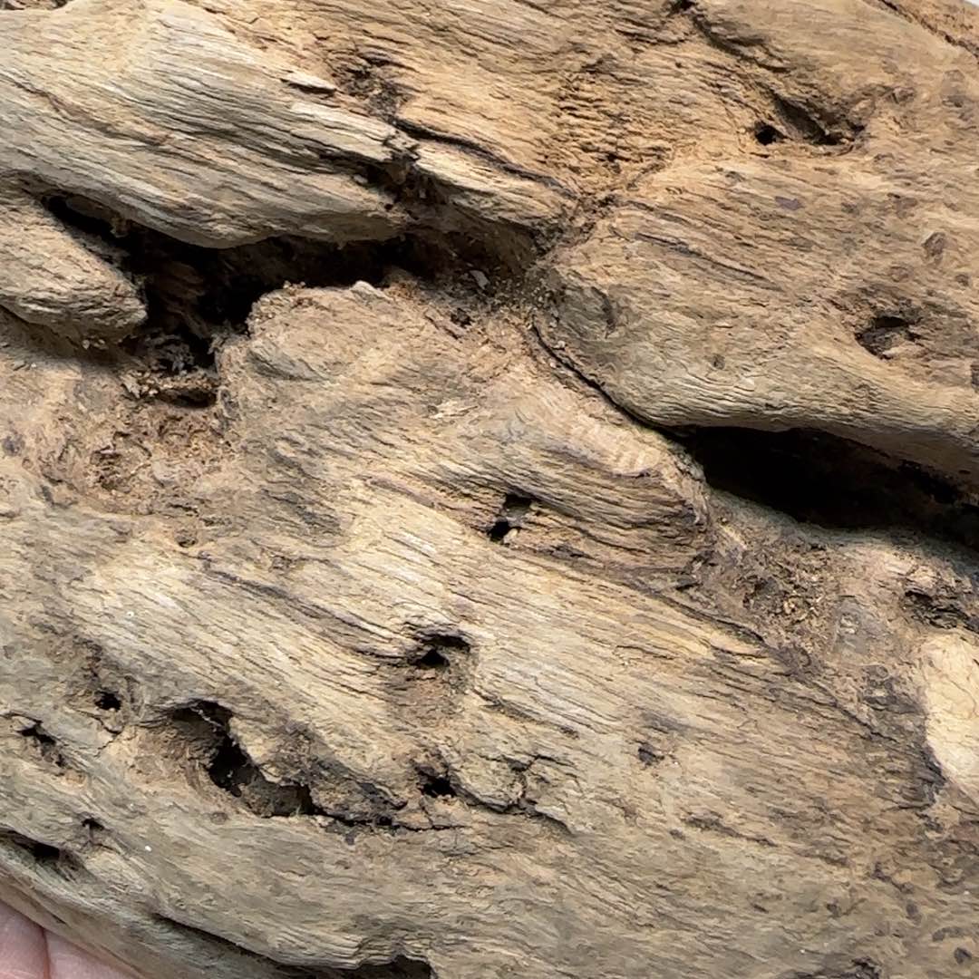 沉香碎屑沉香209都鹏黄棋遗漏