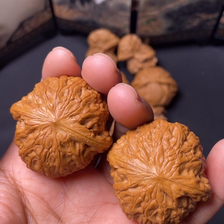 核桃41矮桩铁锤。    