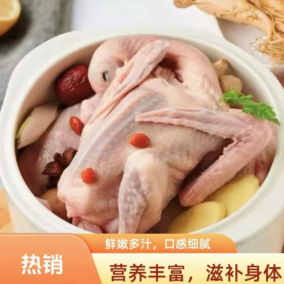 农家散养土鸽子新鲜现杀 带内脏急冻锁鲜 顺丰包邮