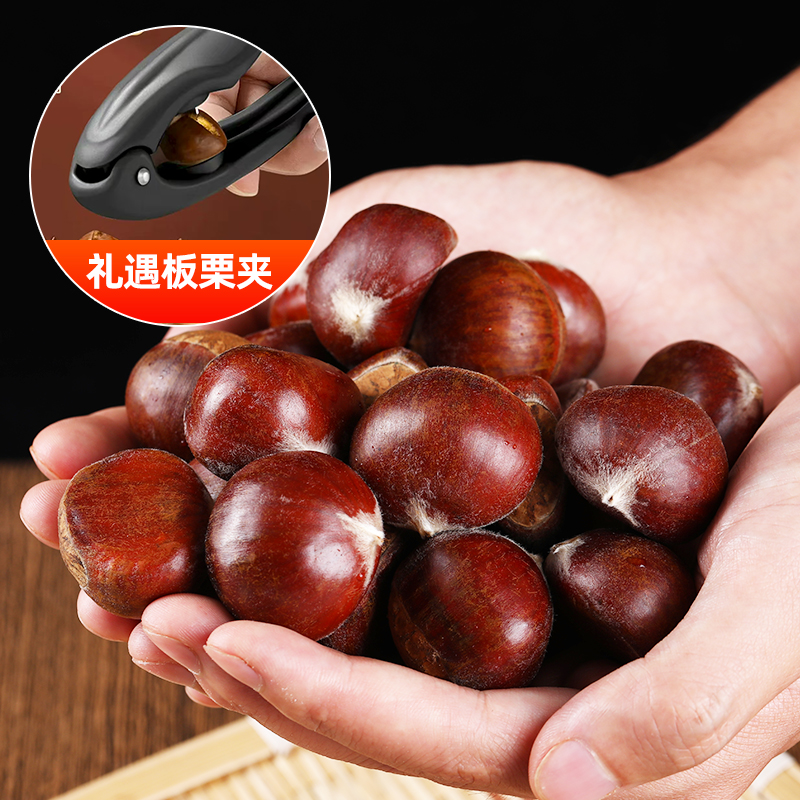 2025年云南新鲜板栗高山板栗3斤4.5斤装可蒸烤煎煮TY