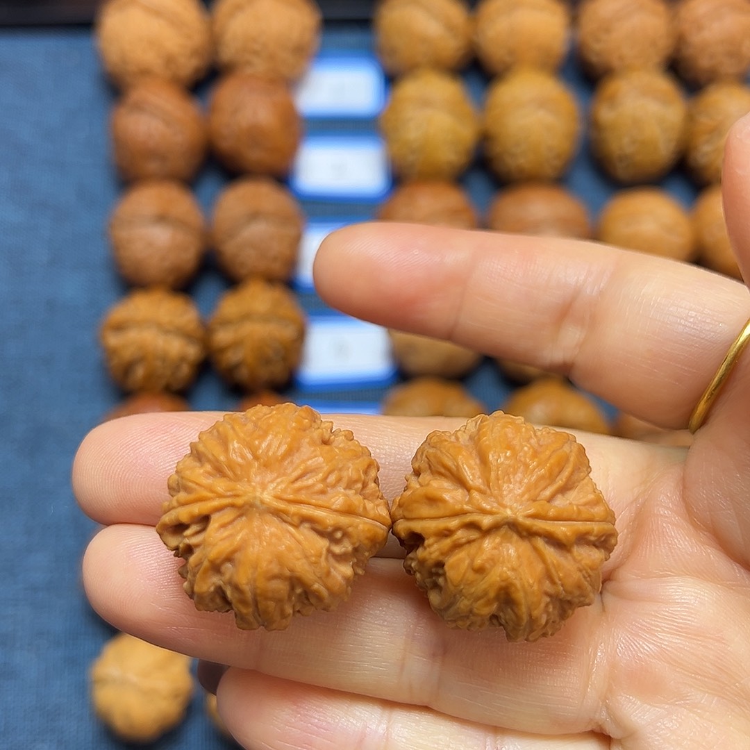 银S925粗筋蝴蝶磨盘26尺全品无修