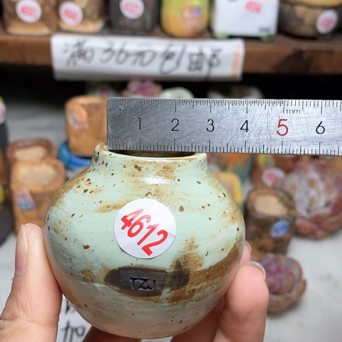 红陶拍5送一个小