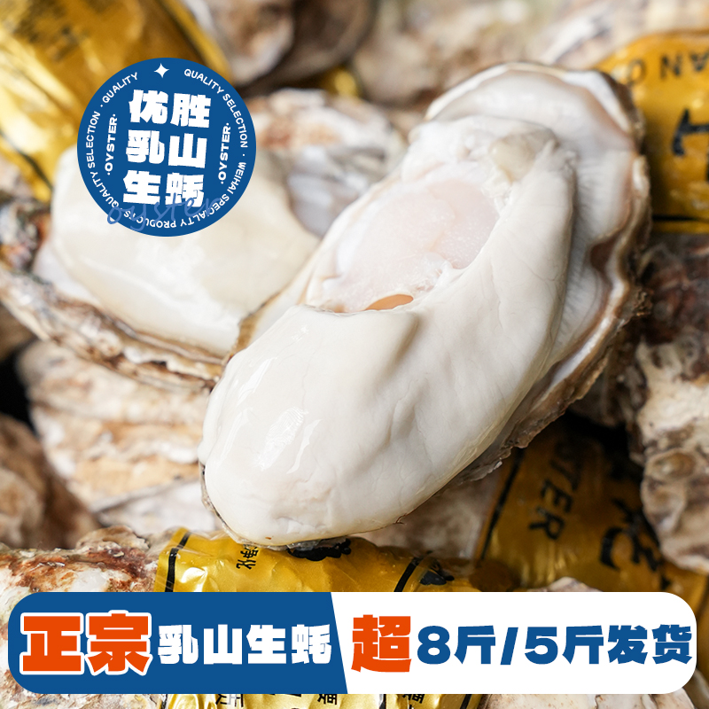 到手净重5斤/8斤正宗乳山生蚝原产地直发鲜活牡蛎海蛎子顺丰冷链