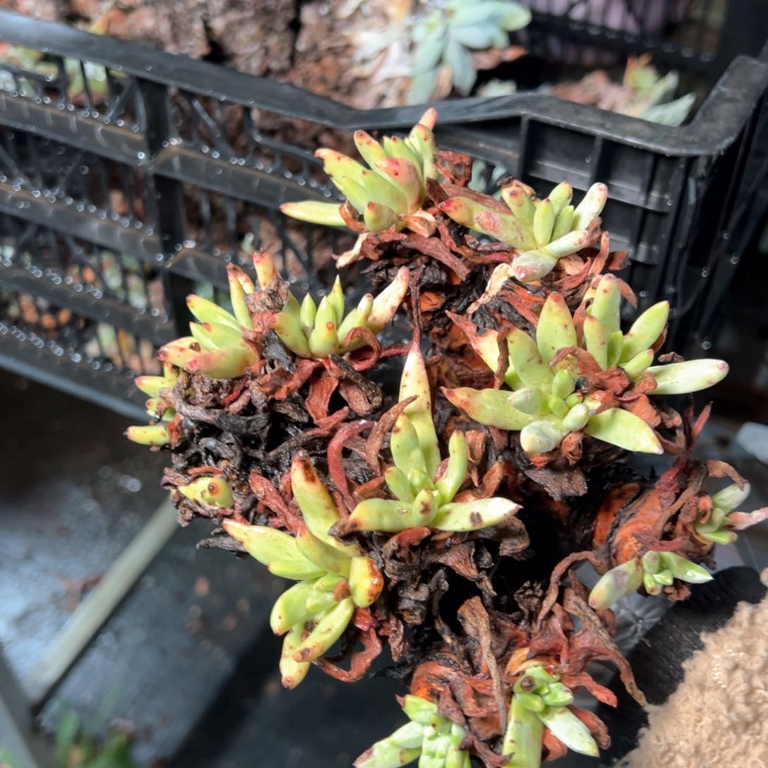 6312哈哈哈哈哈哈哈哈