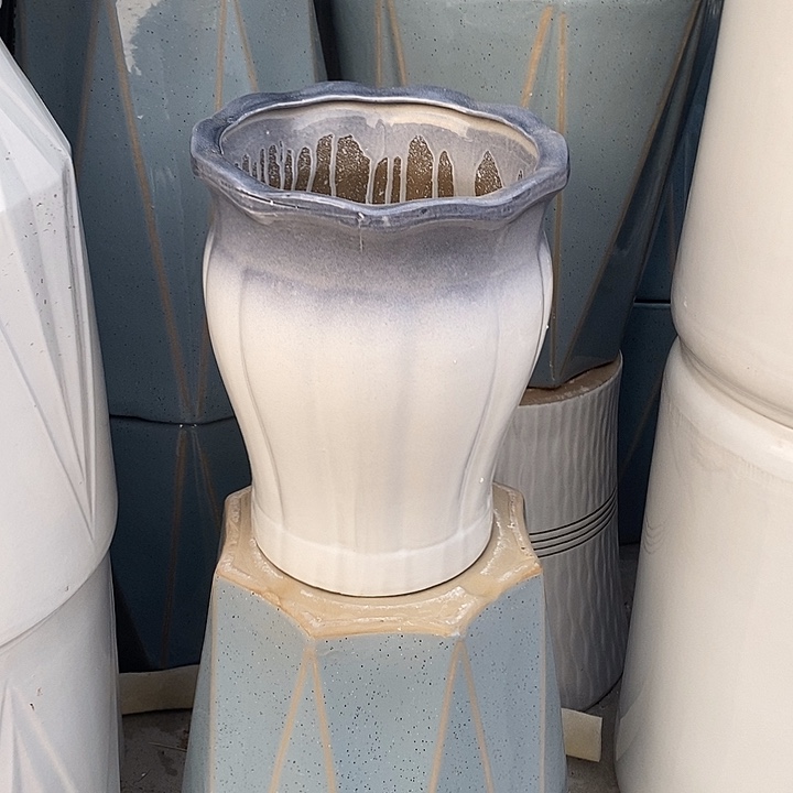 渐变灰南瓜中口25高32福利