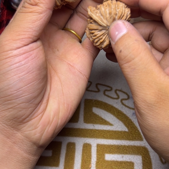 默全品楼子40左右