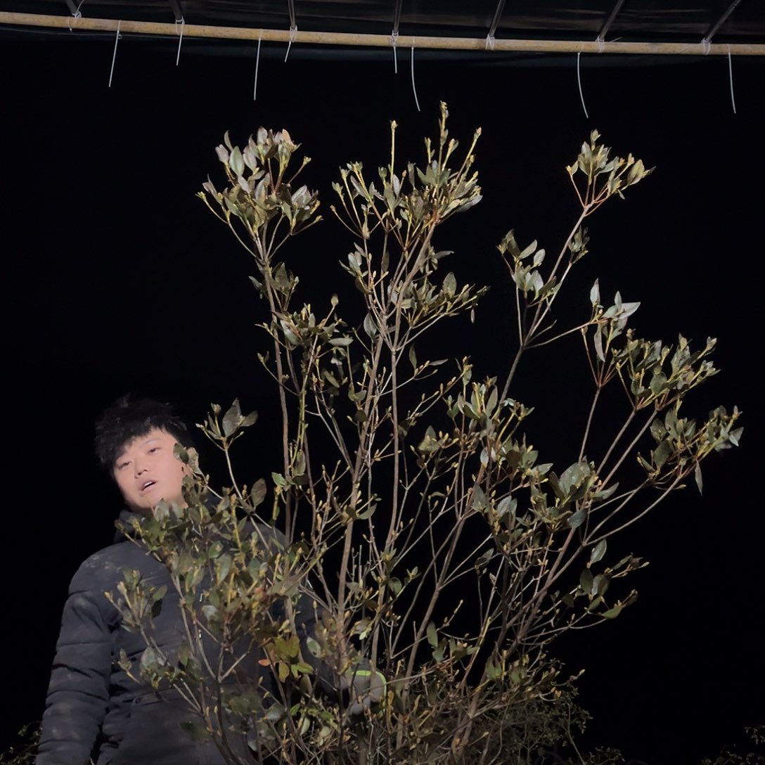 完全开放好哥哥哥哥哥哥哥哥过